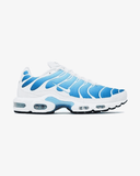 AIR MAX PLUS TN BATTLE BLUE